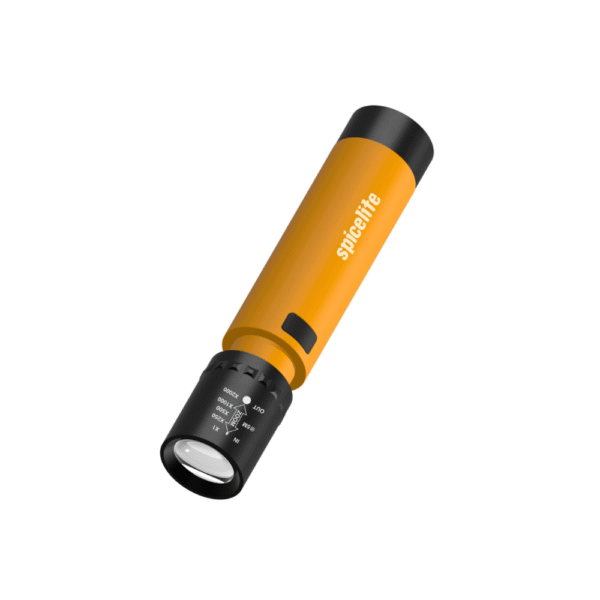 Zoomer - Image 2